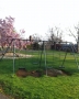 Our resident hawk taking a break on the swing set. Photo captured...