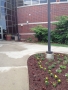 The mulch smells like chocolate - yum!