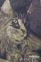 http://tfachicago.smugmug.com/Category/2012-TFA-Student-Art-Show/23135900_7vxzq3...