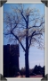 Find favorite tree on campus. Sit. Cloud watch. Repeat.
