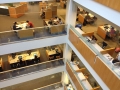 One more week to hit the books. Good luck on exams! Here's the crowd...