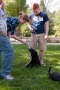 Puppypalooza 2012 was a hit! The Averett Pack brought dogs on campus...