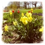 Springtime on campus.