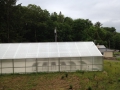 Greenhouse at Calder, from the deck of the graduate student housing...