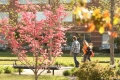 We know our CMU students are doing internships all over the country...