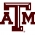 Texas A & M University
